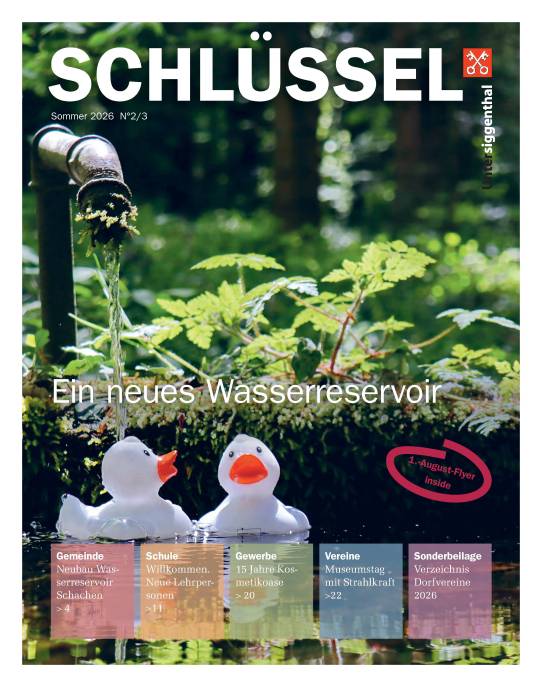 Ausgabe Sommer N2/3