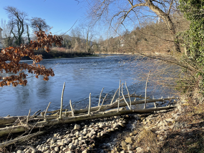 Natur- und Vogelschutzverein Untersiggenthal