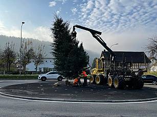 Kreiselbaum Landschreiber