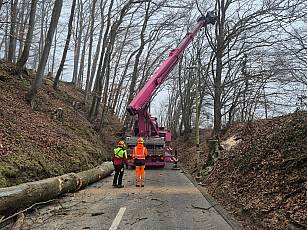 Sicherheitsholzerei mit Fällgreifer