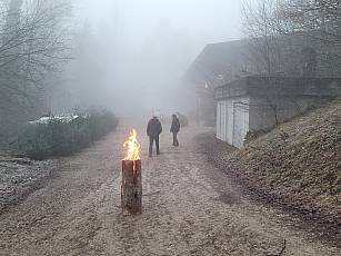 Weihnachtsbaumverkauf im Rotchrüz